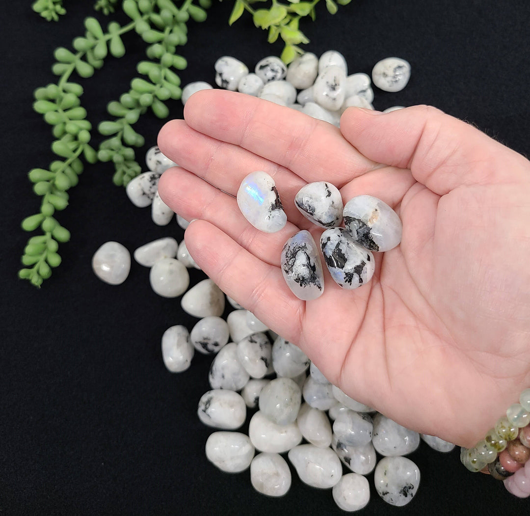 Rainbow Moonstone - Intuition, Balance & New Beginnings