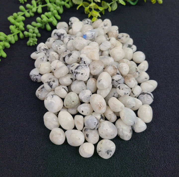 Rainbow Moonstone - Intuition, Balance & New Beginnings
