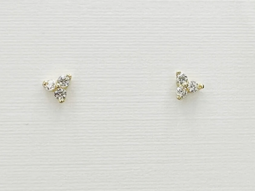 Bermuda Studs