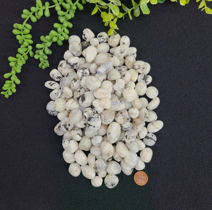 Rainbow Moonstone - Intuition, Balance & New Beginnings